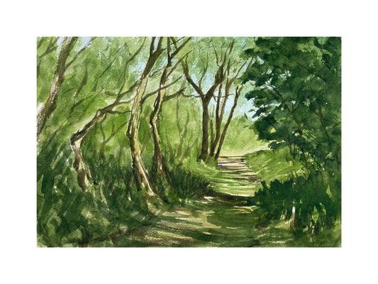 Woodland path