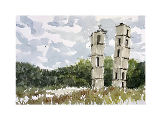 Anselm Kiefer's towers