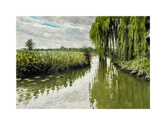 The weeping willow